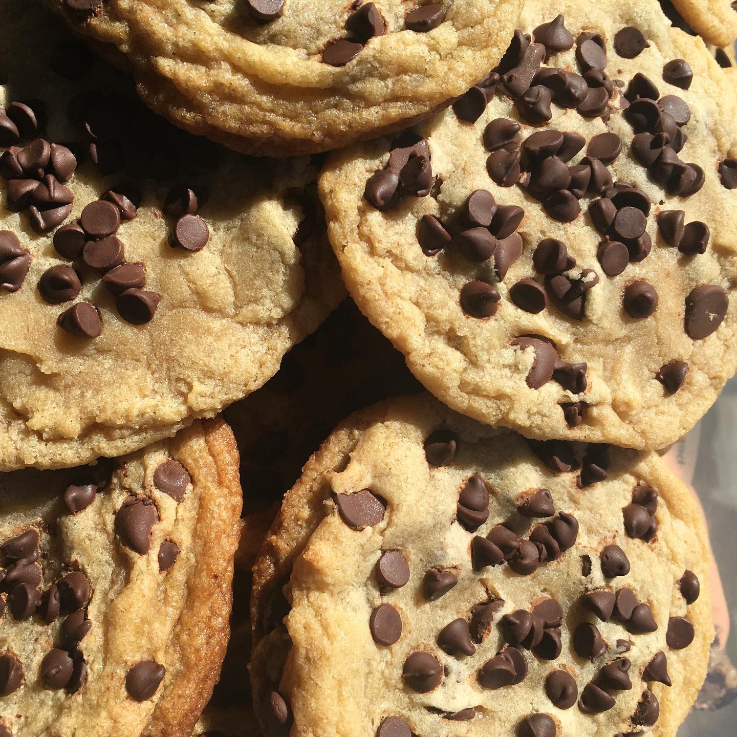 Chocolate Chip Cookies